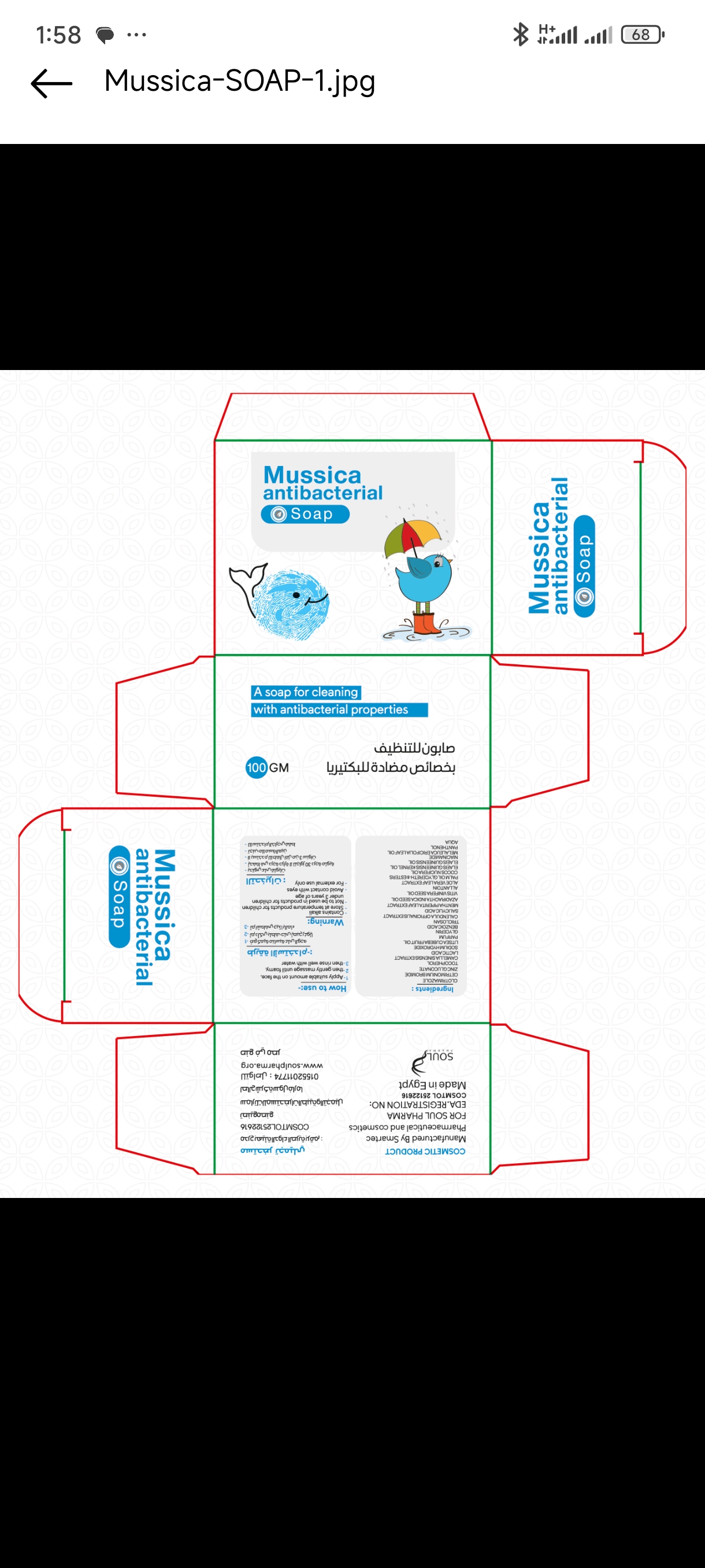 Mussica antibacterial soap